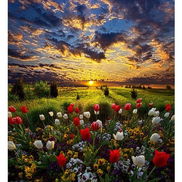 Meet your Posher, Linda - Picture 2 of 2